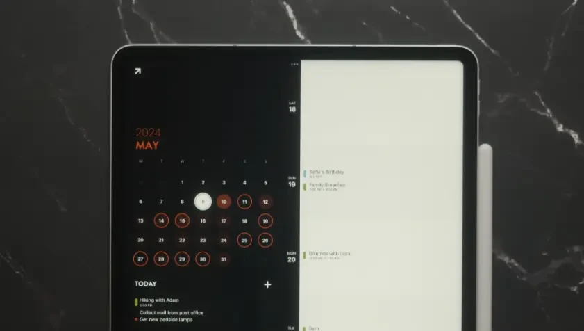 Analog and digital family planner duo